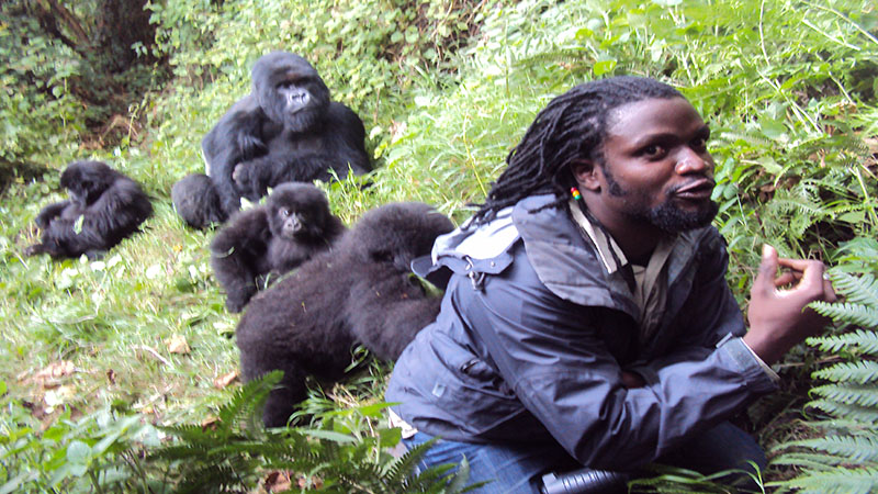 Where To Trek Gorillas In Rwanda