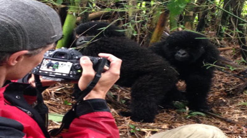 Gorilla Filming