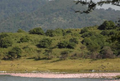 Ngorongoro Crater Safari explores the world-renowned northeast corner of Tanzania