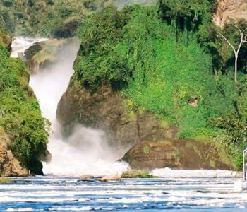 Uganda Fishing Safaris, Murchison Falls national park safari will take you to Murchison falls national park to encounter wildlife species such as the herds of huge Elephants and Caped Buffaloes Ziwa white rhino sanctuary