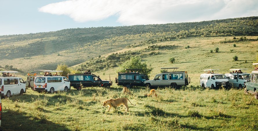 3 Days Masai Mara Group Safaris