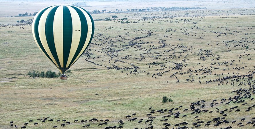 Masai Mara National Reserve is the biggest protected area that is located in the Narok sub-county and it is majorly run by the local community people of the Masai