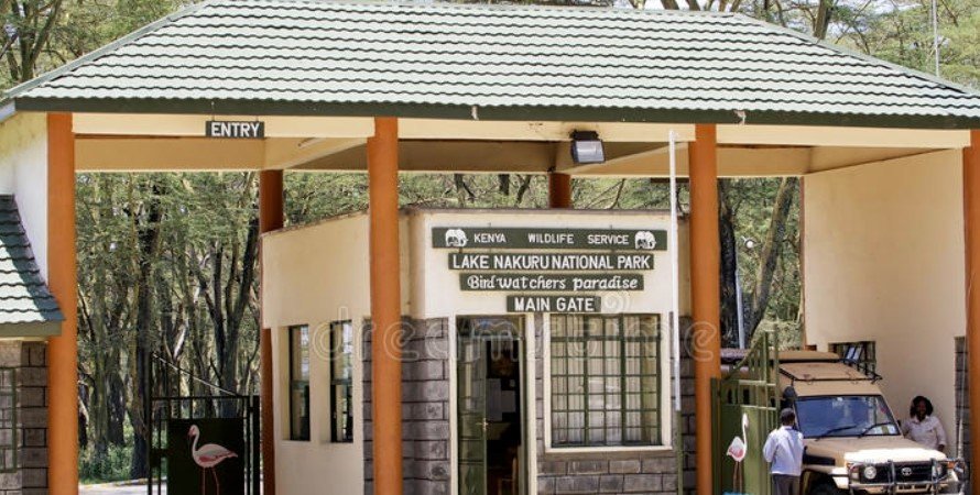 Lake Nakuru National Park Fees