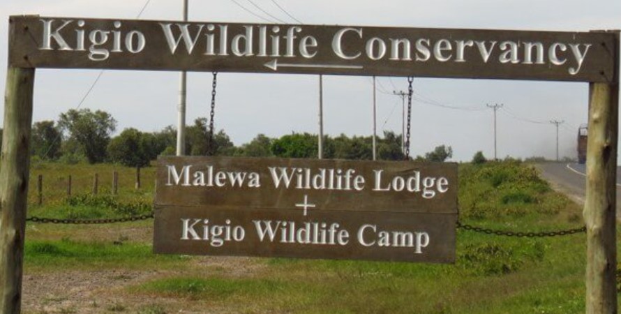 Kigio Wildlife Conservancy in Kenya
