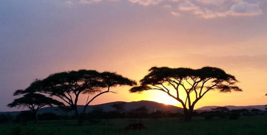 10 Days Budget Kenya Wildlife Safari is the perfect package that will bring you to fantastic Kenya destinations for the wildlife safari adventure. By booing this 10 Days Budget Kenya Wildlife Safari