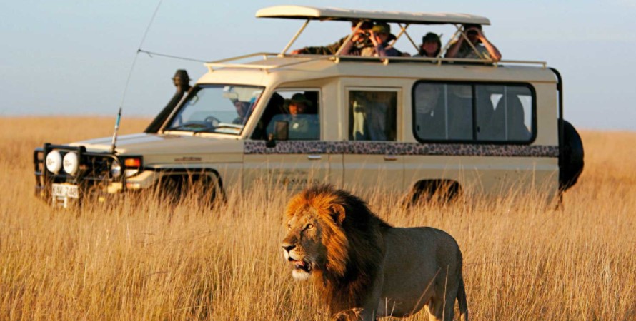 5 Days Nairobi Safari and the Amboseli Wildlife tour will bring you to Kenya for the adventure and the wildlife explorers as you visit the unique tourist attractions found within the Nairobi capital city where you will be able to visit the Nairobi National Park