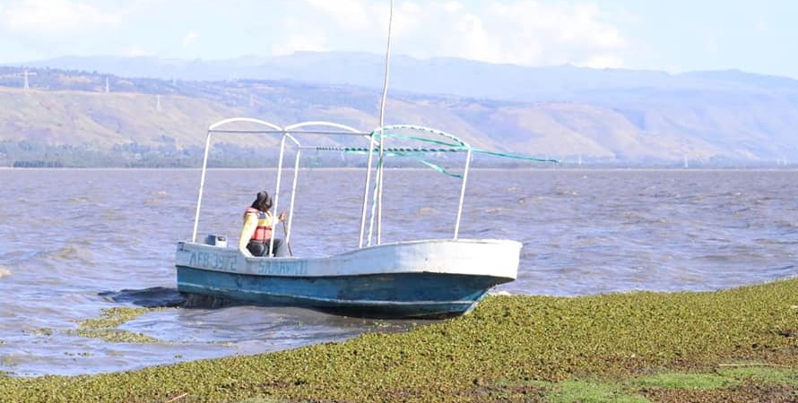 Lake Bolossat in Kenya is one of the best features that you shouldn’t miss while you’re visiting Kenya. For the visitors who think that they have explored all about Kenya