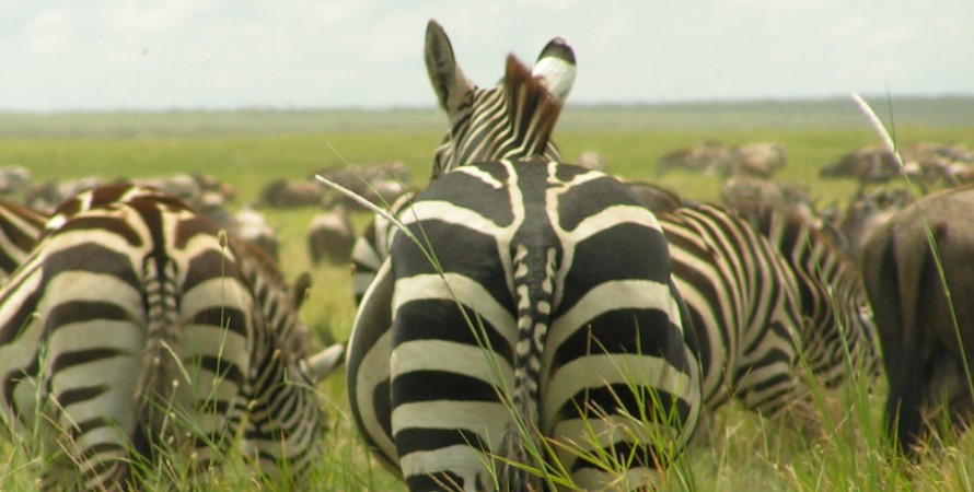 Malka Mari National Park in Kenya