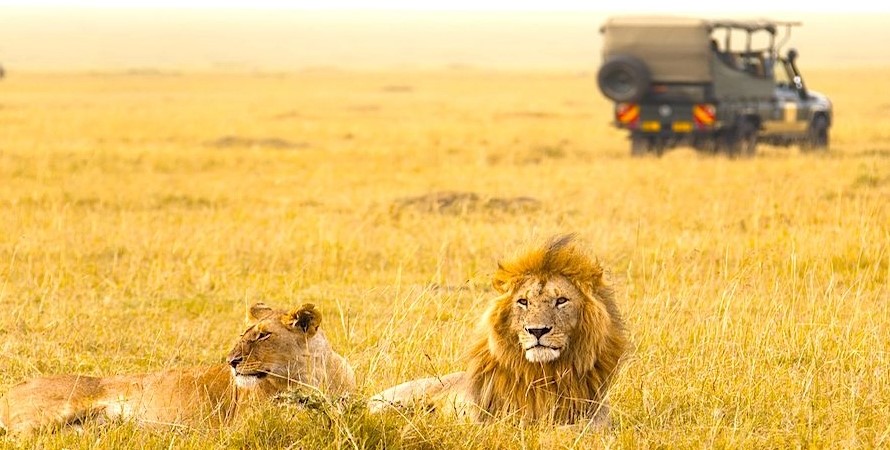 Preparations for your first cruise safaris in Kenya