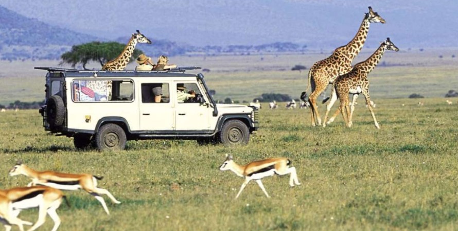 Reasons why you need to book with a travel agent while in Kenya
