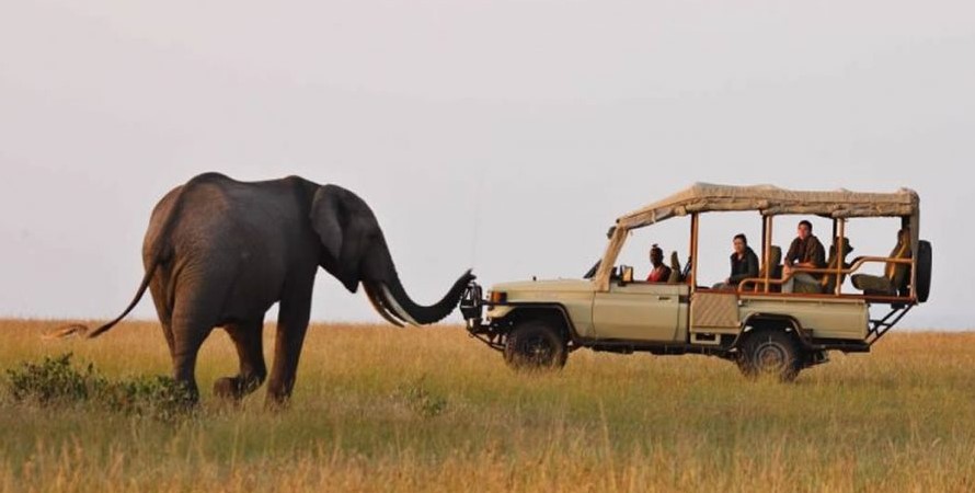 Requirements to your Kenyan safari Trip