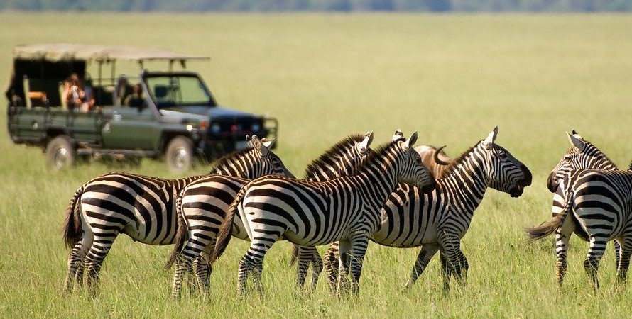 travel tips for the Kenya safari Holidays