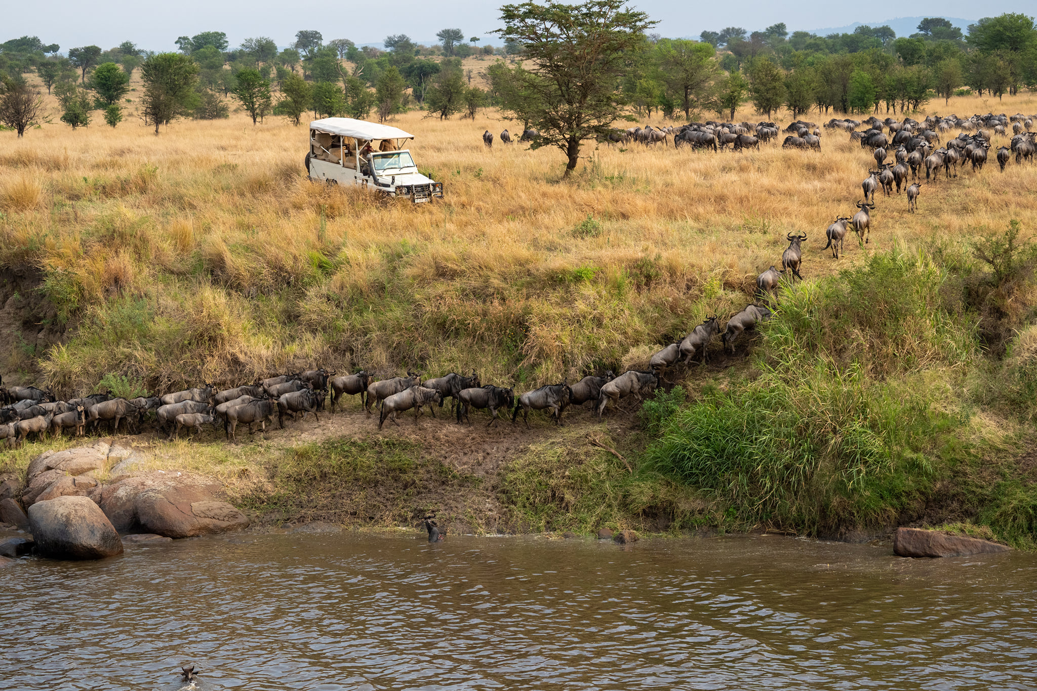 Outstanding features of Serengeti National Park