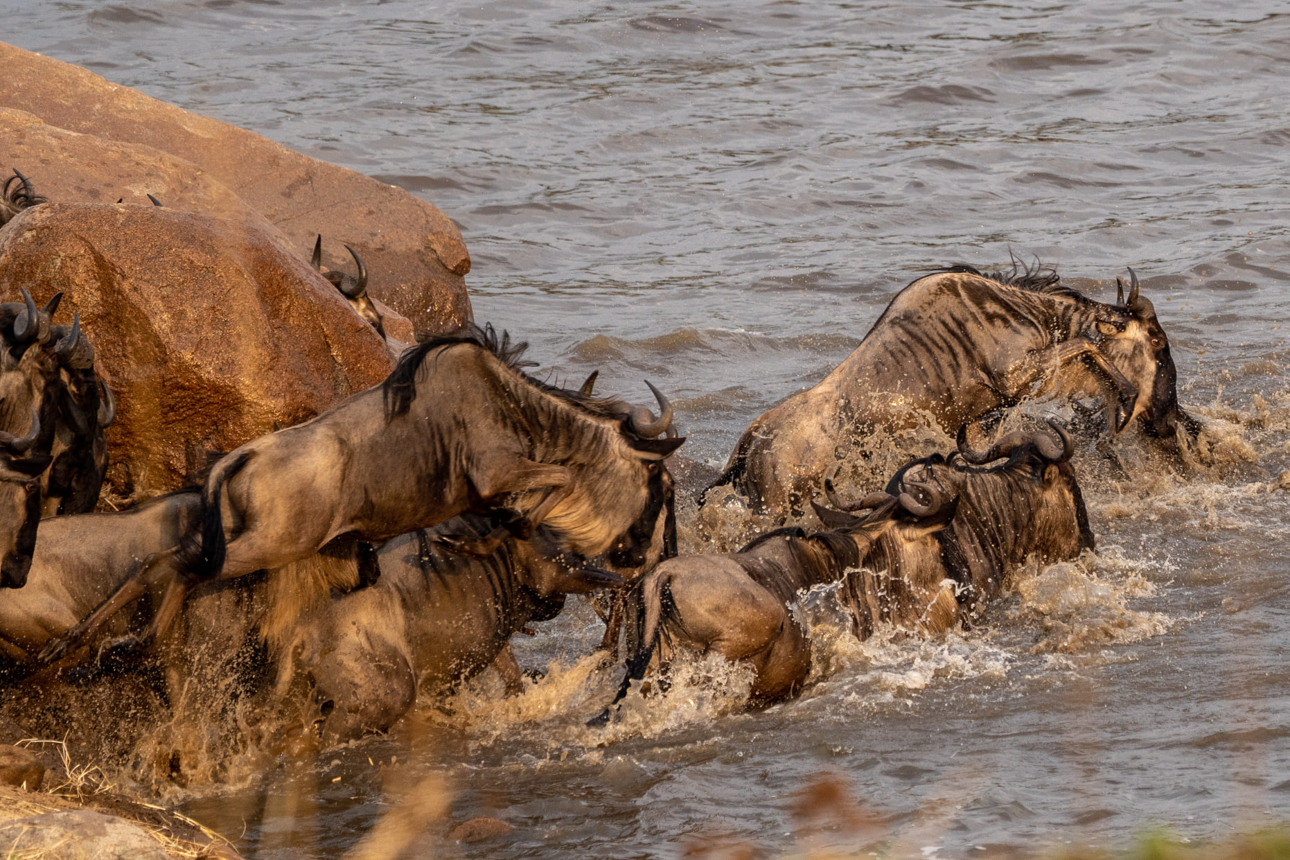 Serengeti National Park rules and regulations in Tanzania