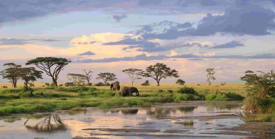 Weather and Climate of the Serengeti National Park