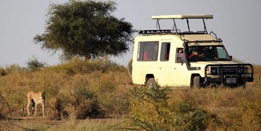 Which is the best tour operator for Serengeti National Park?