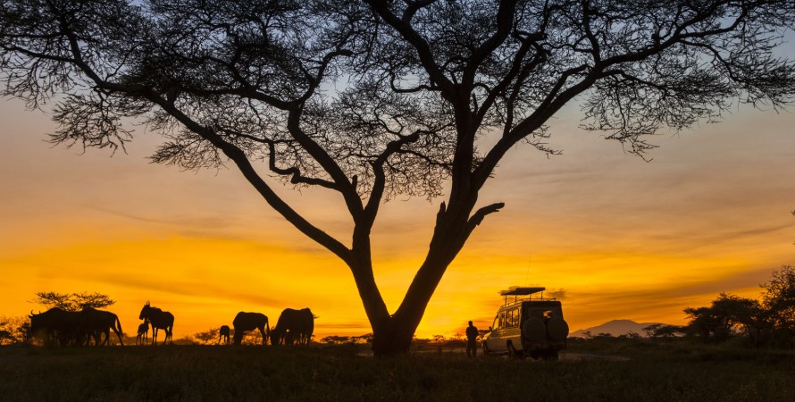 6 days Serengeti National Park Tanzania