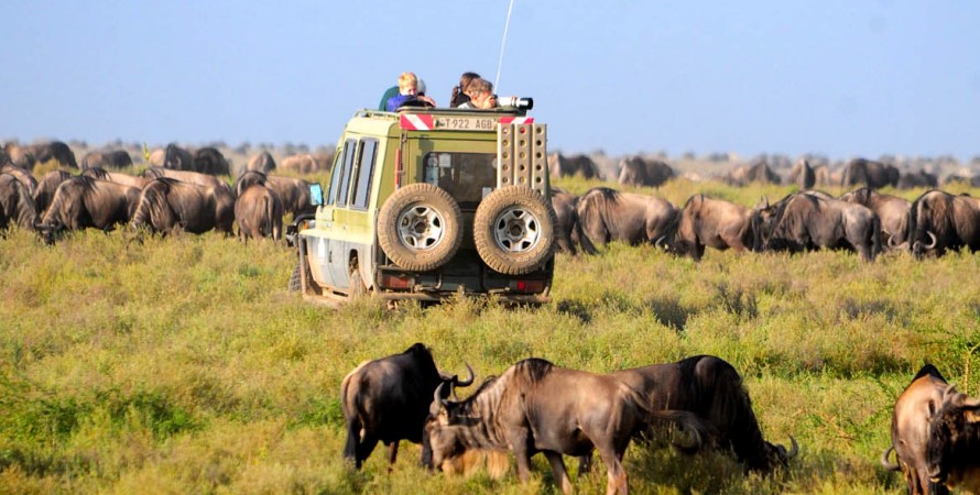 Explore the southern part of the Serengeti National Park