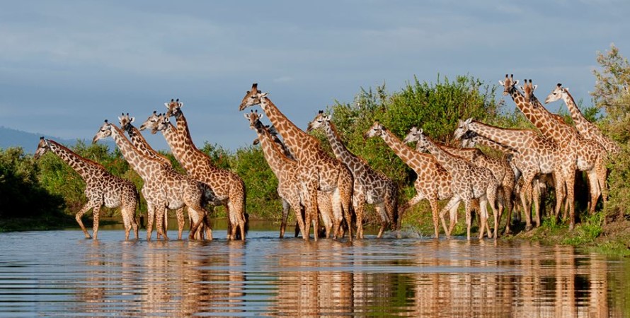 Should I travel to Serengeti National Park now?
