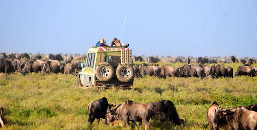 What are the natural wonders of Tanzania?