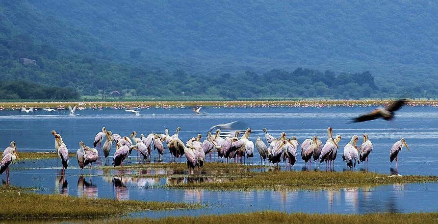 Beauties of Lake Manyara National Park