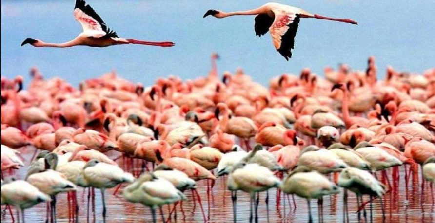 Fees for Lake Manyara National Park