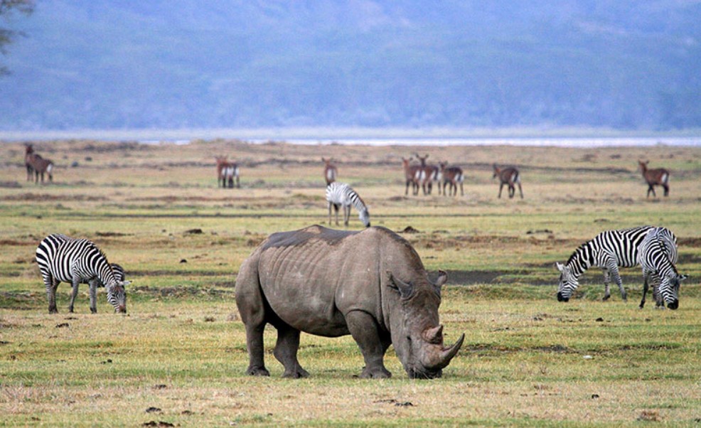 The eye catching sceneries of Ngorongoro Conservation Area