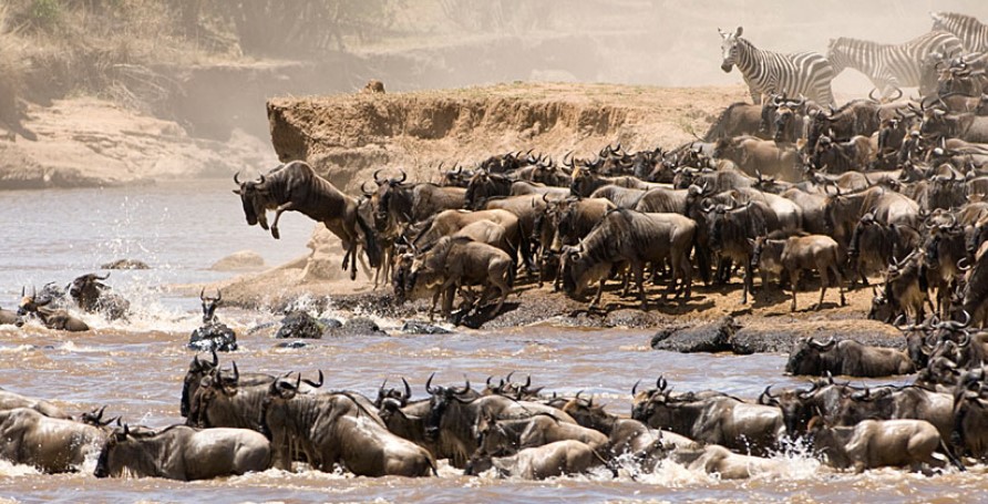 Serengeti National Park and the wildebeest migration.