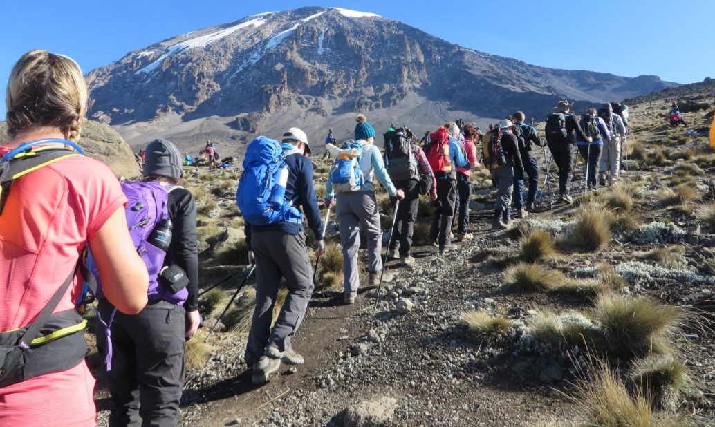 A huge population of hikers climbing Mount Kilimanjaro