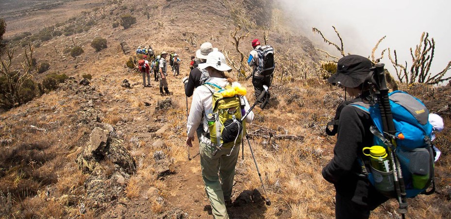 Hiking safaris to the mountains Kilimanjaro