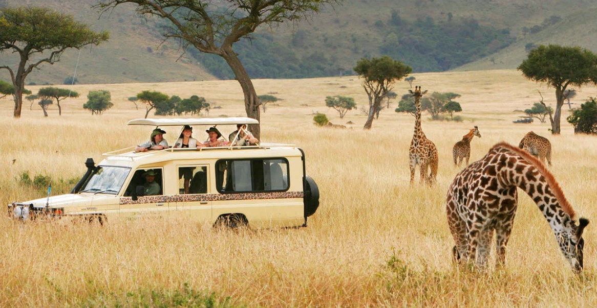Wildlife game viewing around Tanzania