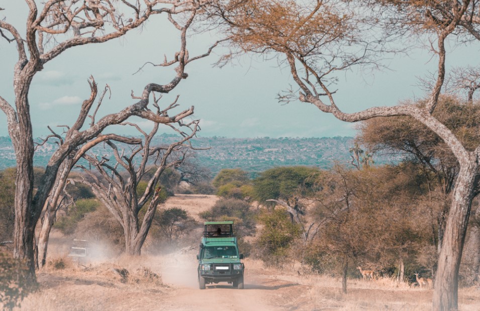 accessing Serengeti national park