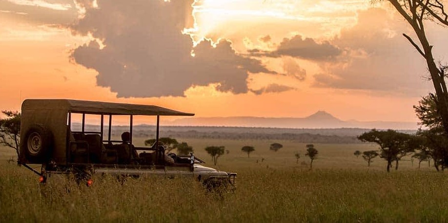 Game drive adventures in Serengeti National Park.