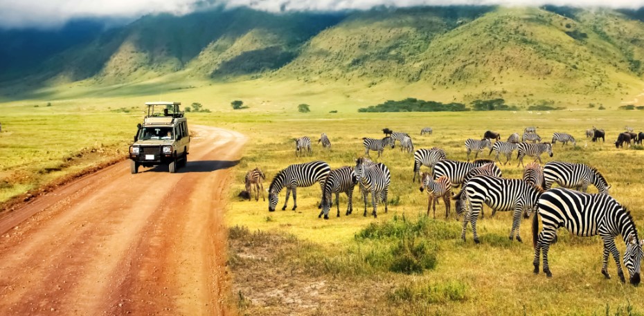 Is Tanzania good for safaris?