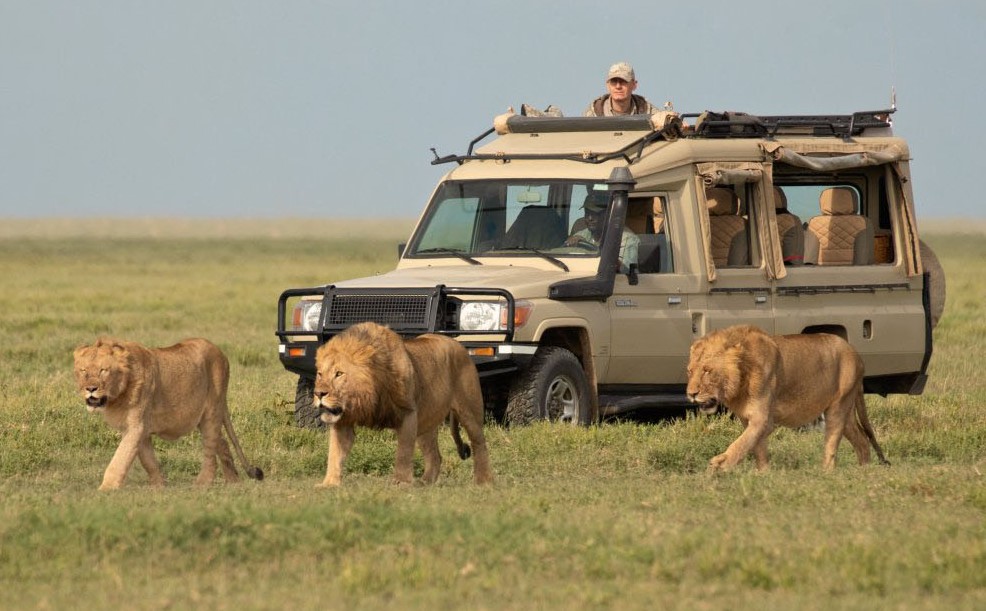 see all five of the big animals in Tanzania