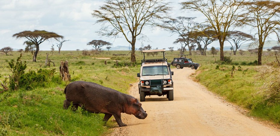 Liste der Nationalparks in Uganda für eine Safari