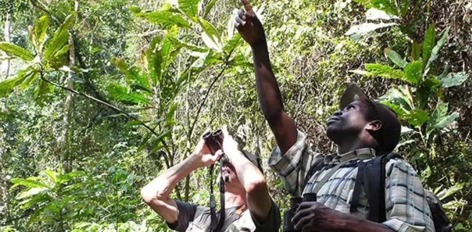 Nkuringo-Safariaktivitäten, nachdem Sie die vom Aussterben bedrohten Berggorillas gesehen haben