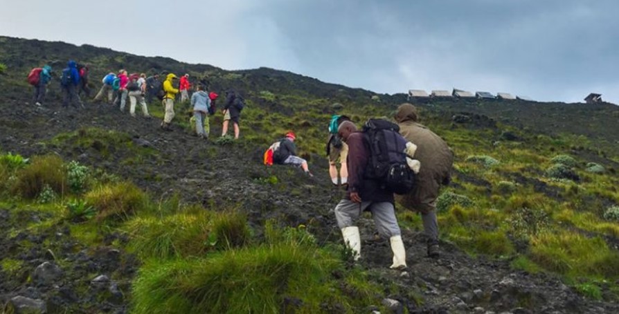 Discounts on Volcanoes National Park Activities: Are you a tourist looking to have a safari in this magnificent park at a lower cost than original price?