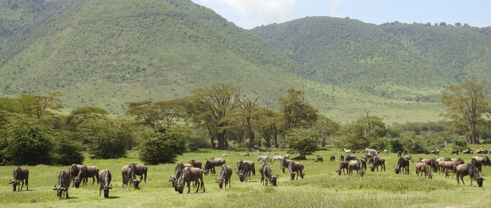 6 Days Best of Serengeti, Tarangire, Ngorongoro and Lake Manyara national park