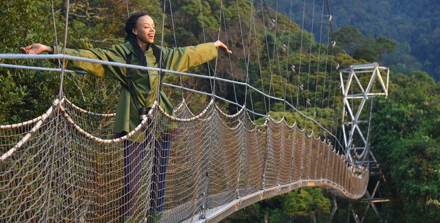 Attractions in Nyungwe Forest National Park: The park is located in the southwest of Rwanda, and offers the excellent primate safari experience to visitors