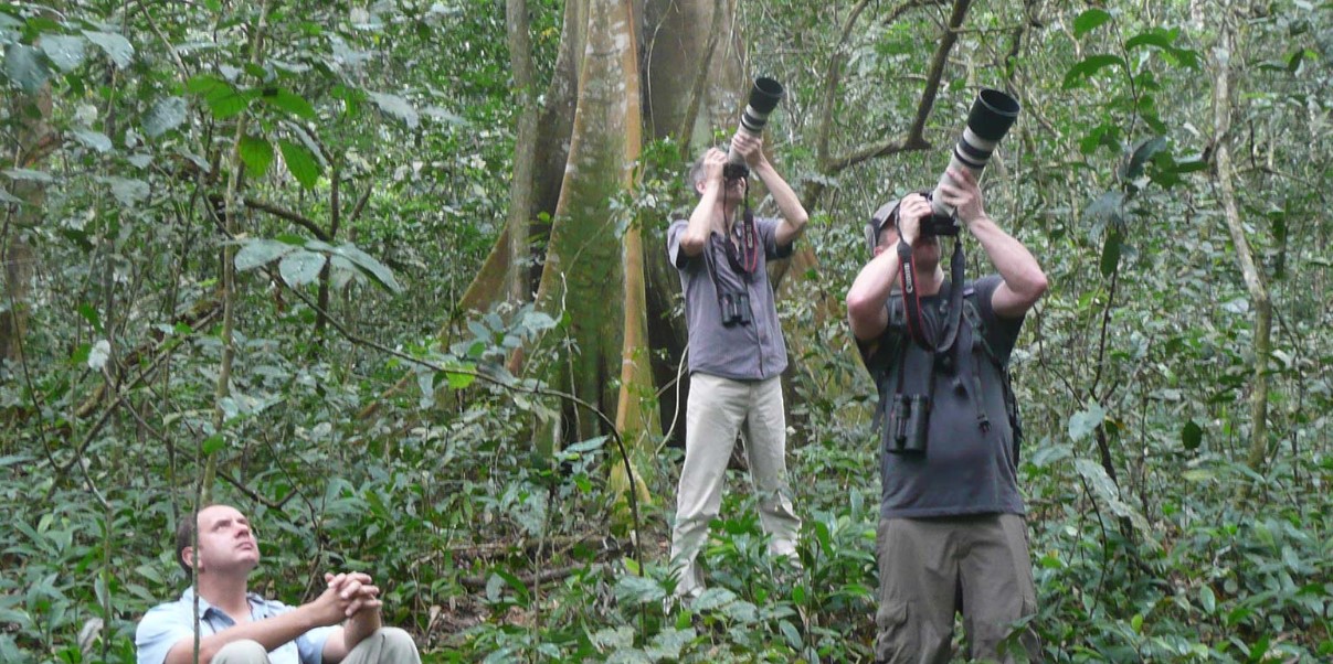 5 safari activities in Kibale forest national park
