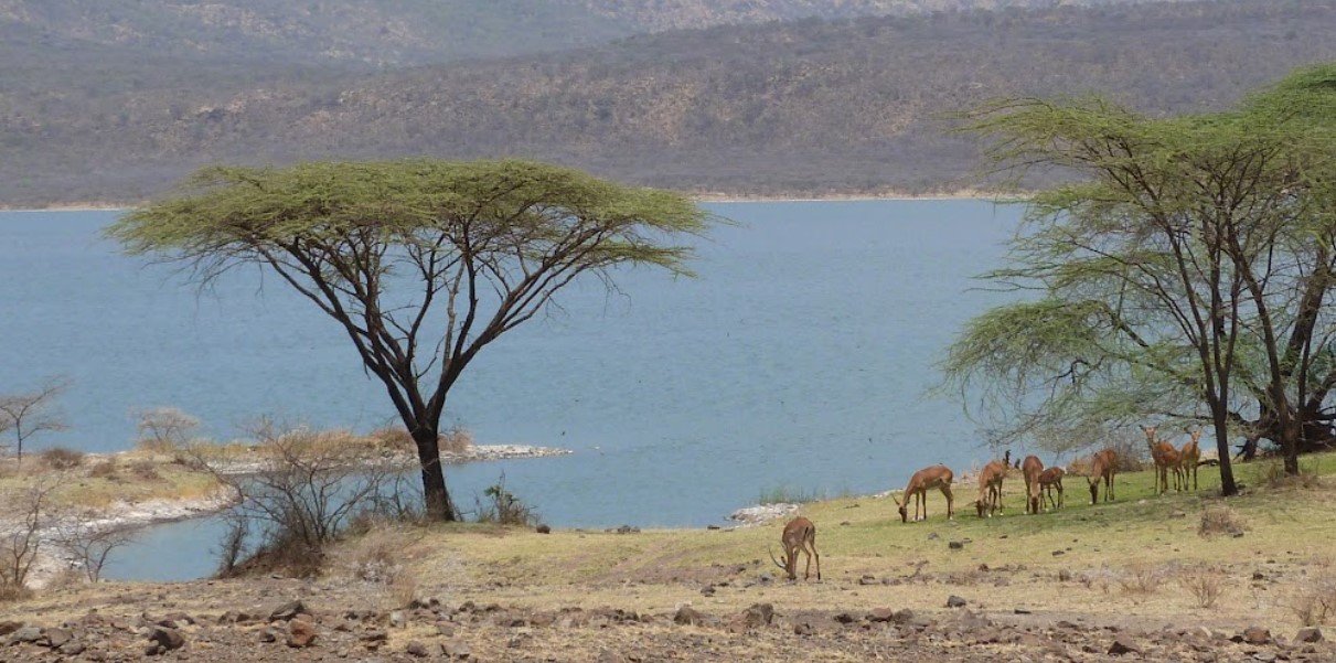 Filming Lake Baringo in Kenya: This is the most stunning lake that is surrounded by the scenic rugged semi-desert landscape