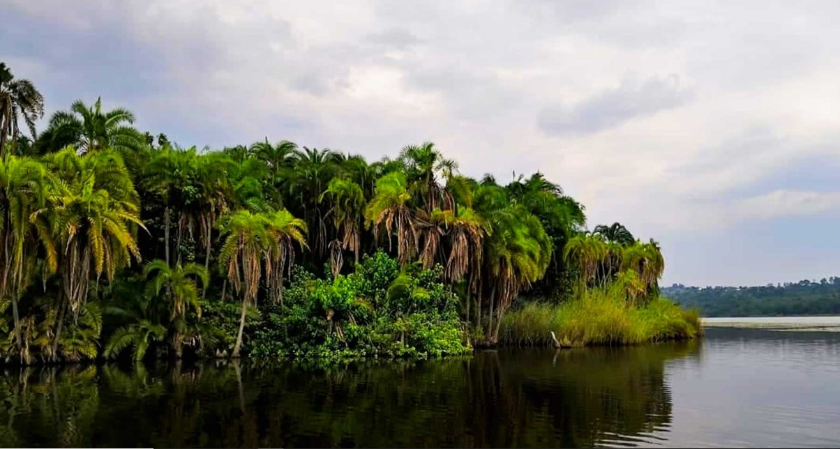 Rwihinda Lake Nature Reserve is one of the most popular tourist destinations in Burundi located in the northern region