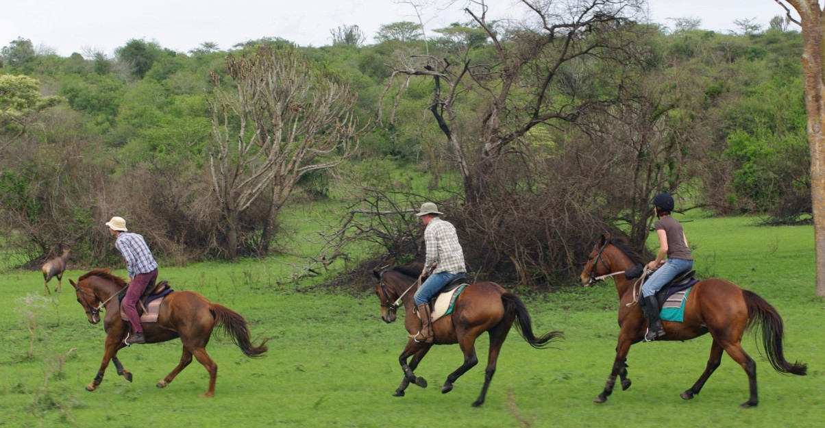 Horse riding safari in Lake Mburo National Park
